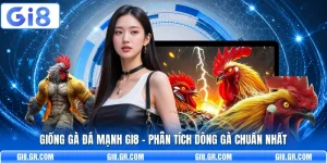 Giống Gà Đá Mạnh GI8 - Phân Tích Dòng Gà Chuẩn Nhất