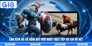 Link Xem Đá Gà Hôm Nay Mới Nhất Trực Tiếp HD GI8 Rõ Nét