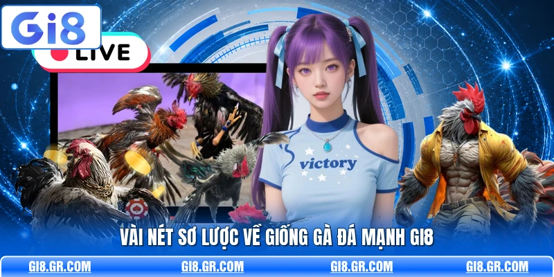 Vài nét sơ lược về giống gà đá mạnh GI8